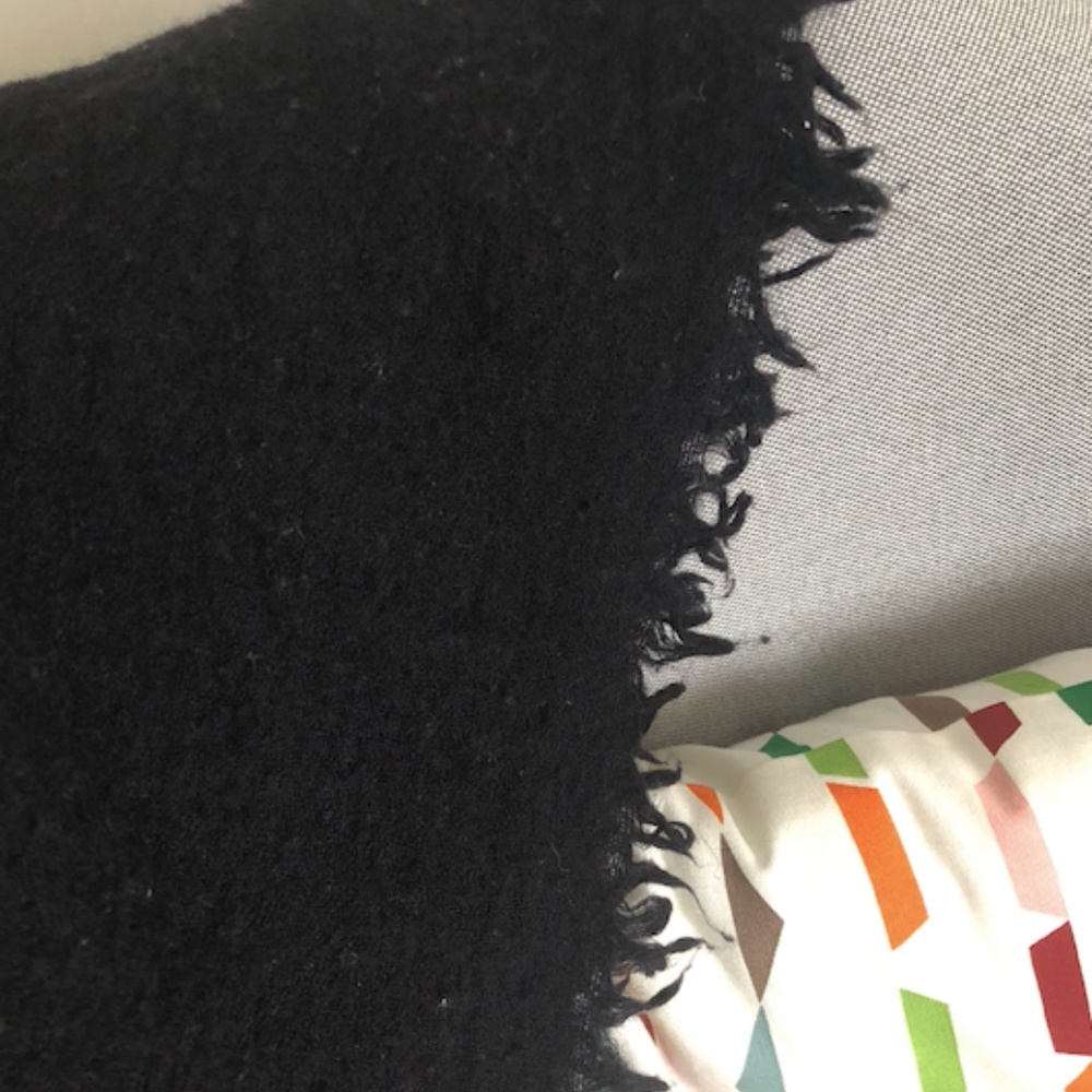Aritzia 100% wool blanket scarf
